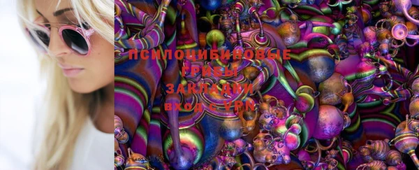 гидра Алзамай