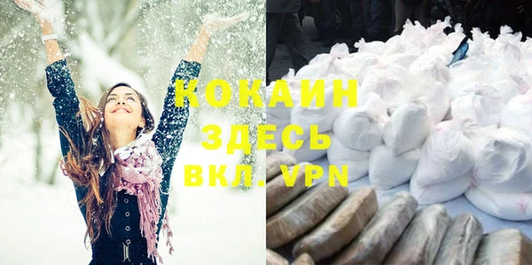 гашик Болотное