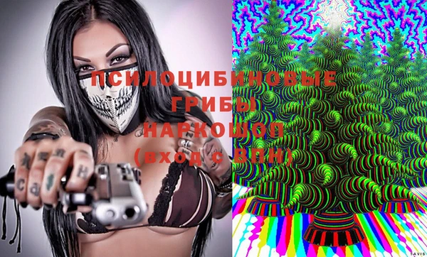 гидра Алзамай