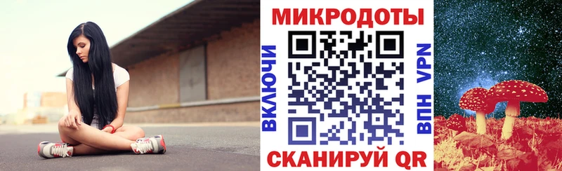 omg ТОР  Дегтярск  Псилоцибиновые грибы Cubensis 
